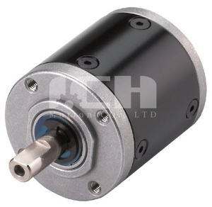 Boîte de vitesses planétaires de 42 mm avec équipement biseau