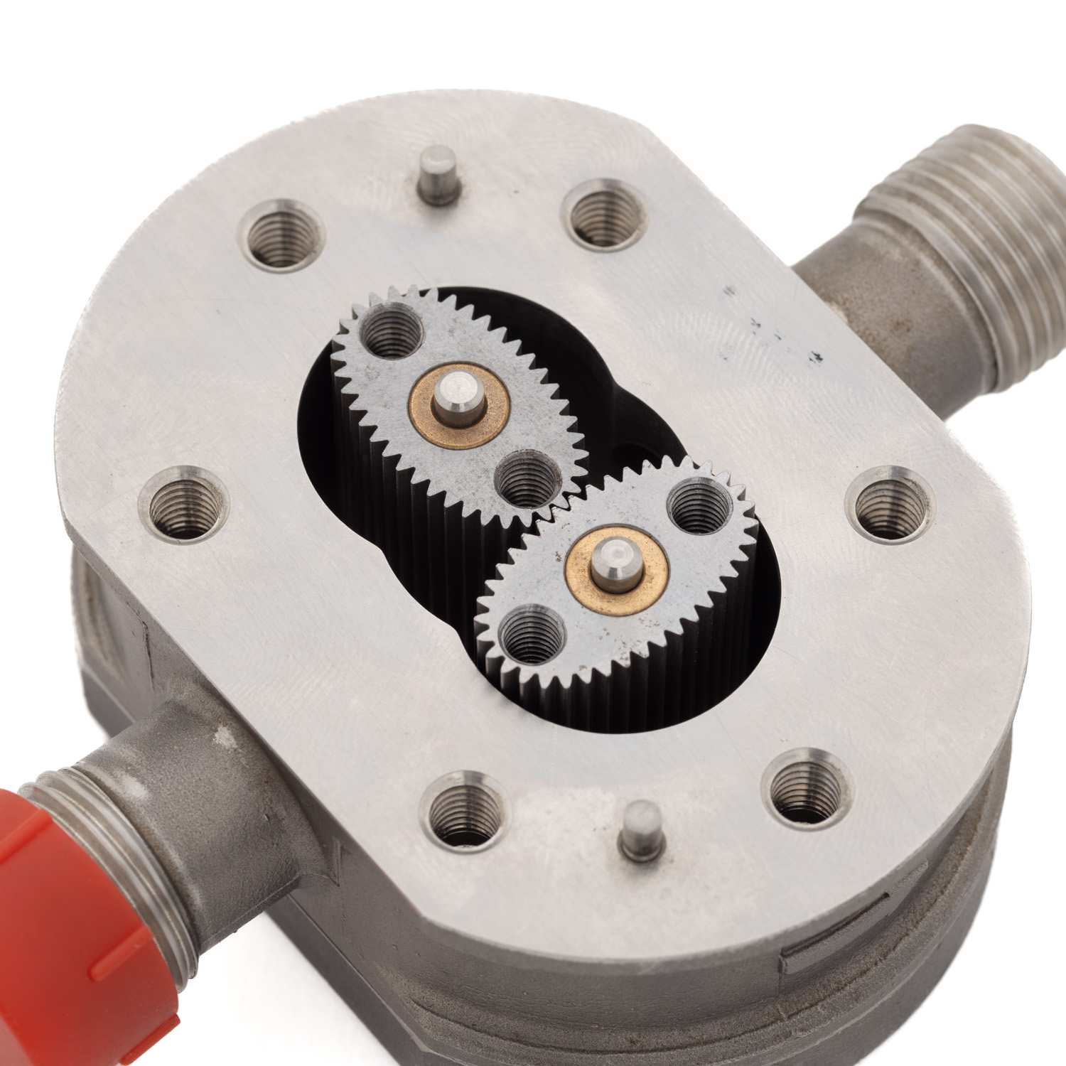 Équipement ovale en acier inoxydable